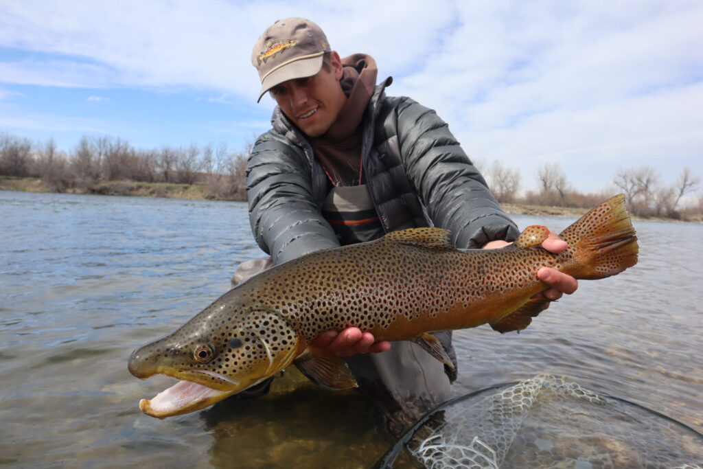 Bighorn River April Fishing Report